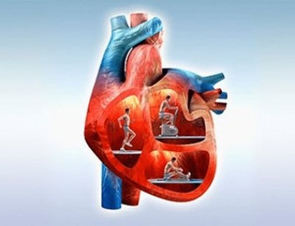 Как тренировать сердце?