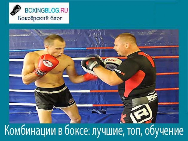 Комбинации в боксе и кикбоксинге: лучшие, топовые, обучение, Майка Тайсона, руками и ногами