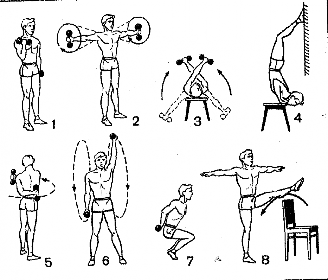 Упражнения с гантелями для рук, груди, плеч