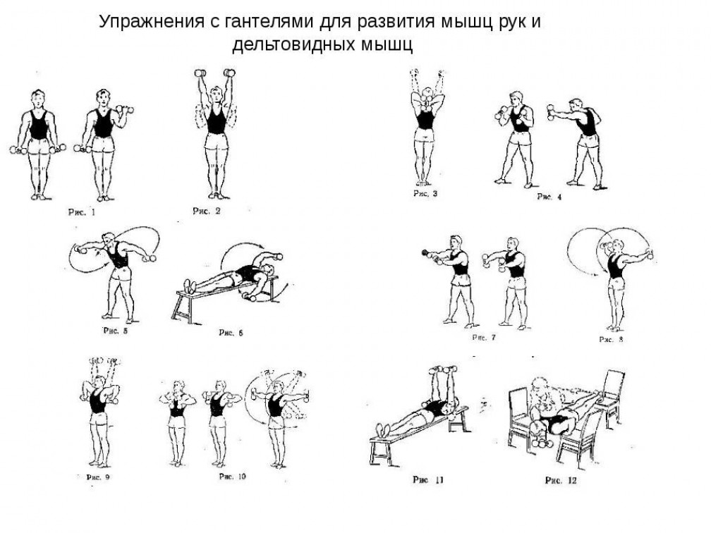 Упражнения с гантелями для рук, груди, плеч