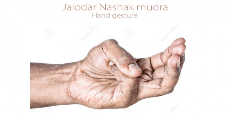 Джалодар Нашак Мудра(JALODAR NASHAK) – Исцеляющая