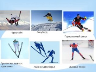 Виды лыжного спорта и их краткая характеристика: зима в радость