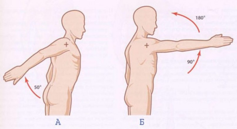 Как правильно организовать тренировки с учётом анатомических особенностей плеча?