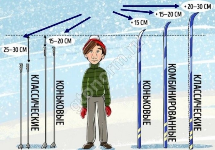 Особенности выбора лыж по росту