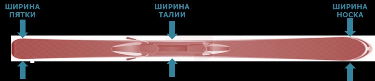 Как выбрать горные лыжи?