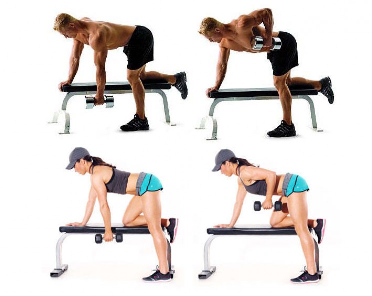 Упражнения на спину с гантелями для мужчин. Развитие мышц спины при помощи упражнений с гантелями
