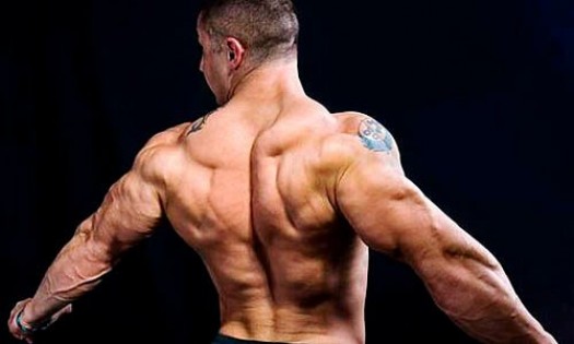 Как качать широчайшие мышцы спины: основы тренинга