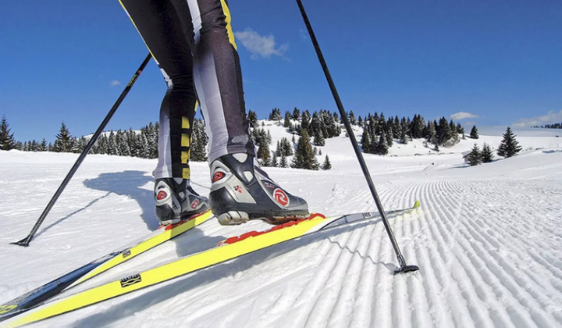 Разновидности беговых лыж