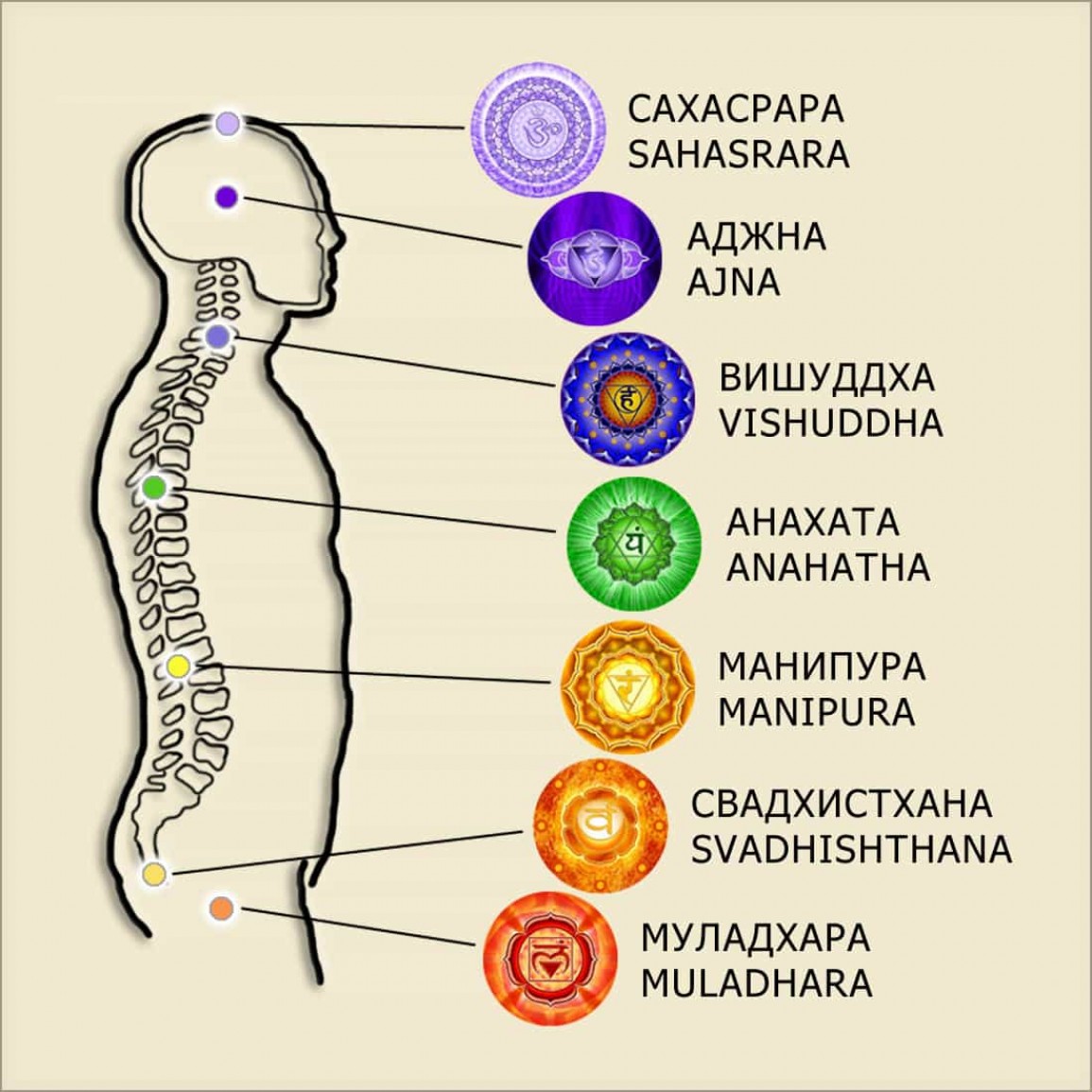 Чакры в кундалини йоге