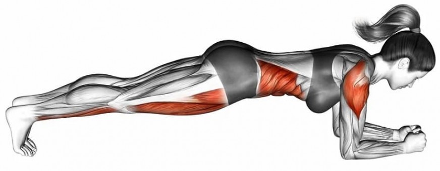 Какие мышцы прорабатываются во время удержания стойки?