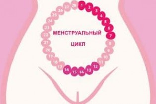 Популярные техники ходьбы для похудения