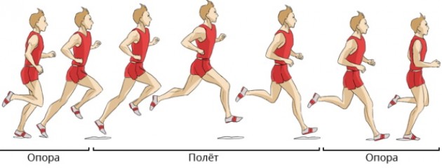 Техника бега на средние дистанции