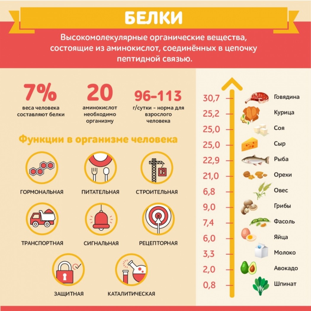 В каких продуктах содержится больше всего белка