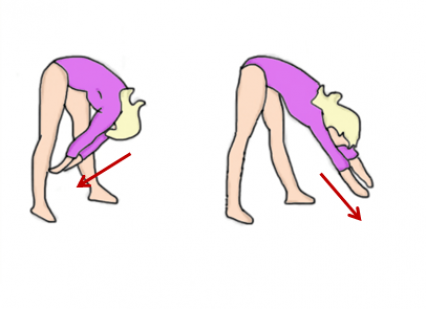 Наращиваем мышечный корсет — упражнений для мышц спины
