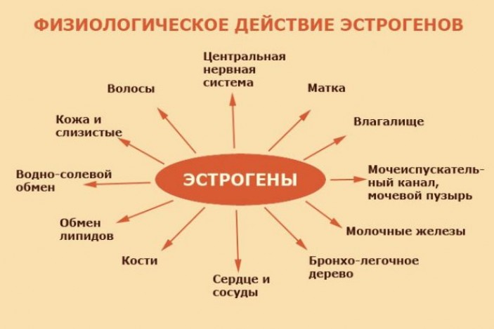 Йога для стимуляции яичников: асаны и дыхательная практика