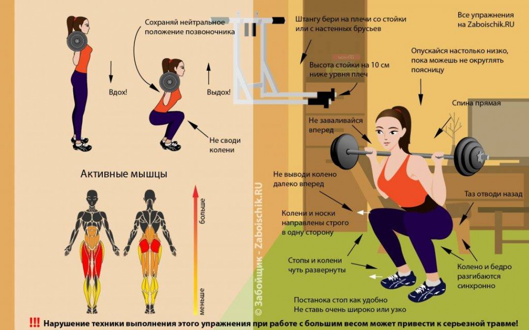 В чем польза приседаний со штангой?