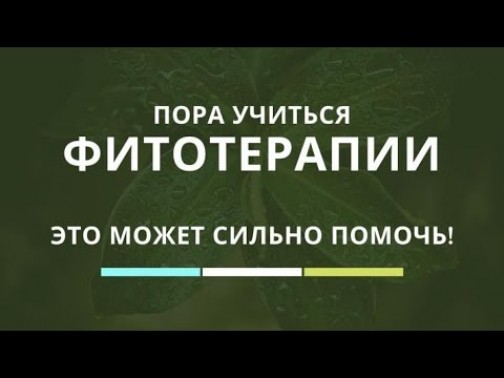 Дополнительные материалы