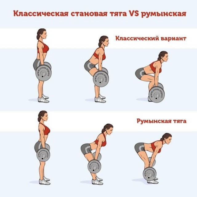 Какие мышцы работают во время румынской становой тяги?