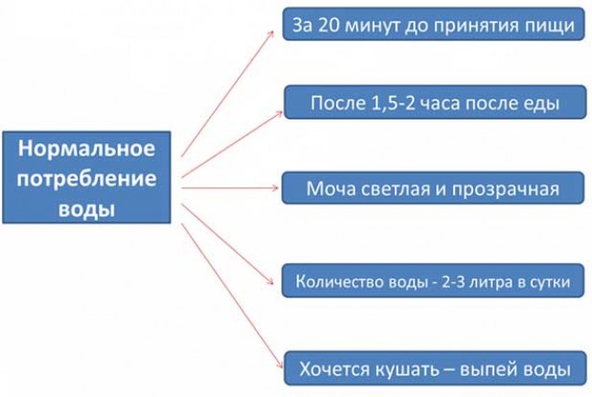 Что можно пить