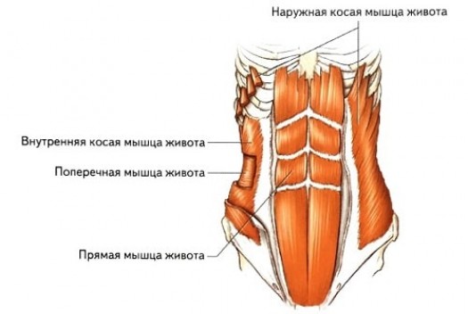 Роль в тренинге