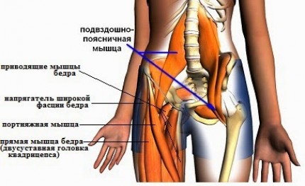 Роль в тренинге