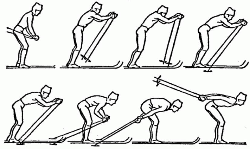 Одновременный бесшажный ход на лыжах. Техника выполнения