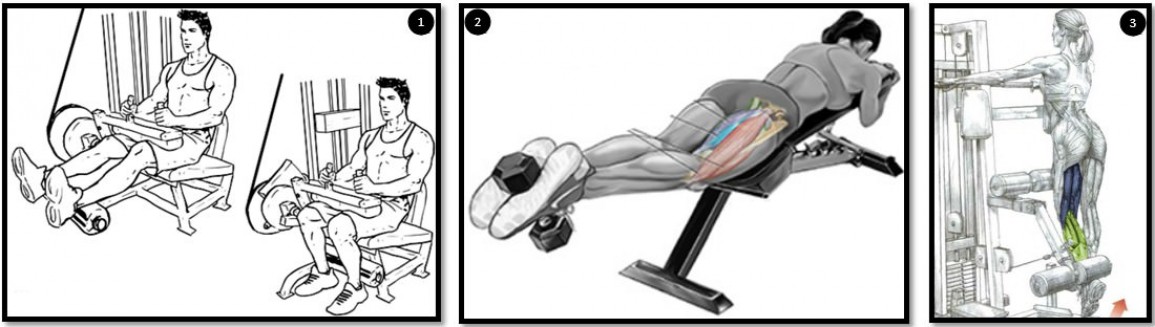 Сгибание ног лёжа в тренажёре