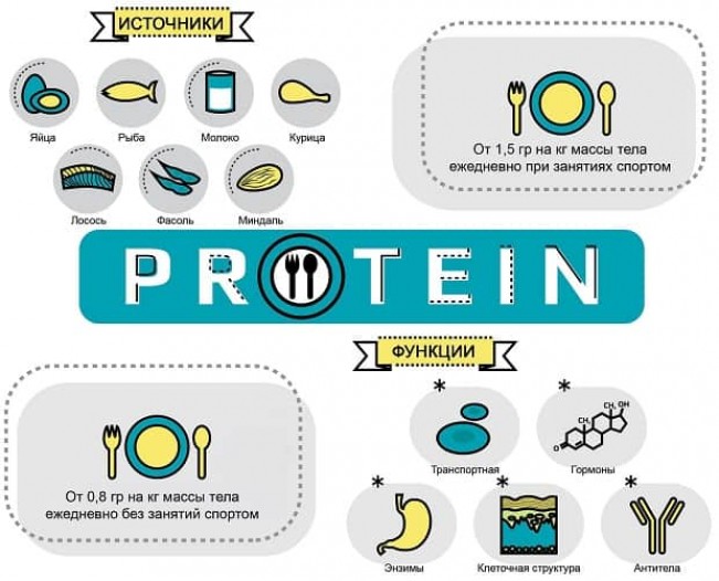 Зачем принимать протеин – его влияние на организм и мышцы