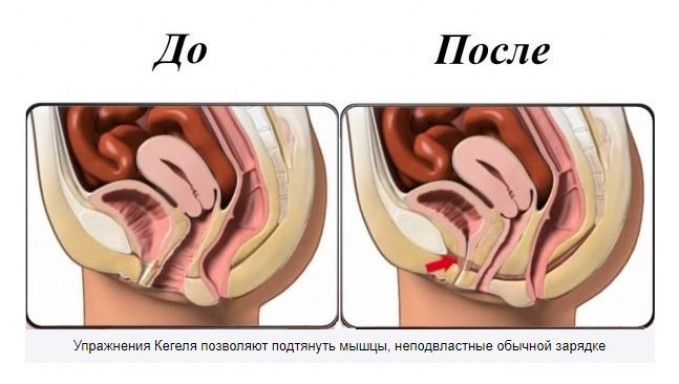 Когда ждать первых результатов от тренировок?