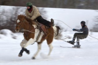 Скиджоринг