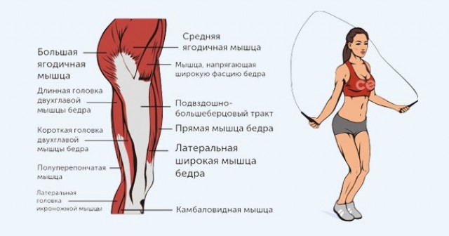 Виды тренировок