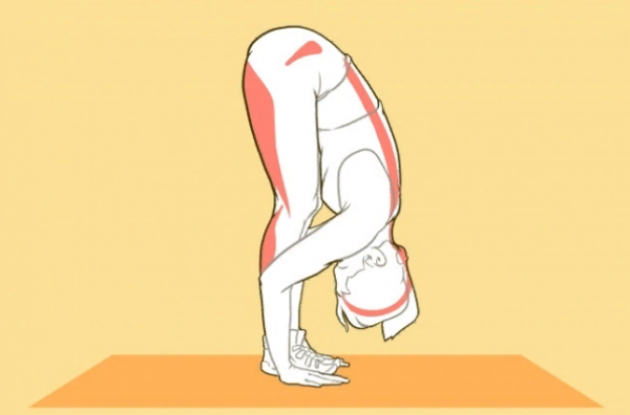 ТОП-упражнений для красивой спины