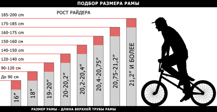 Принцип работы и устройство ВМХ-велосипеда