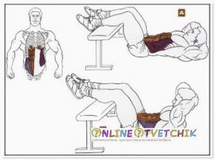 Основной комплекс упражнений для тех, кто хочет иметь красивые мышцы
