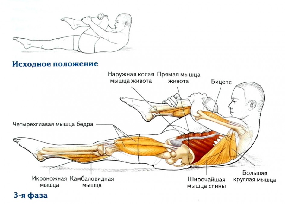Растяжка мышц спины