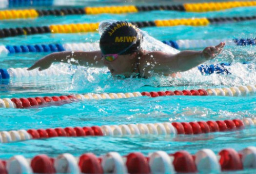Зарождение плавания как вида спорта