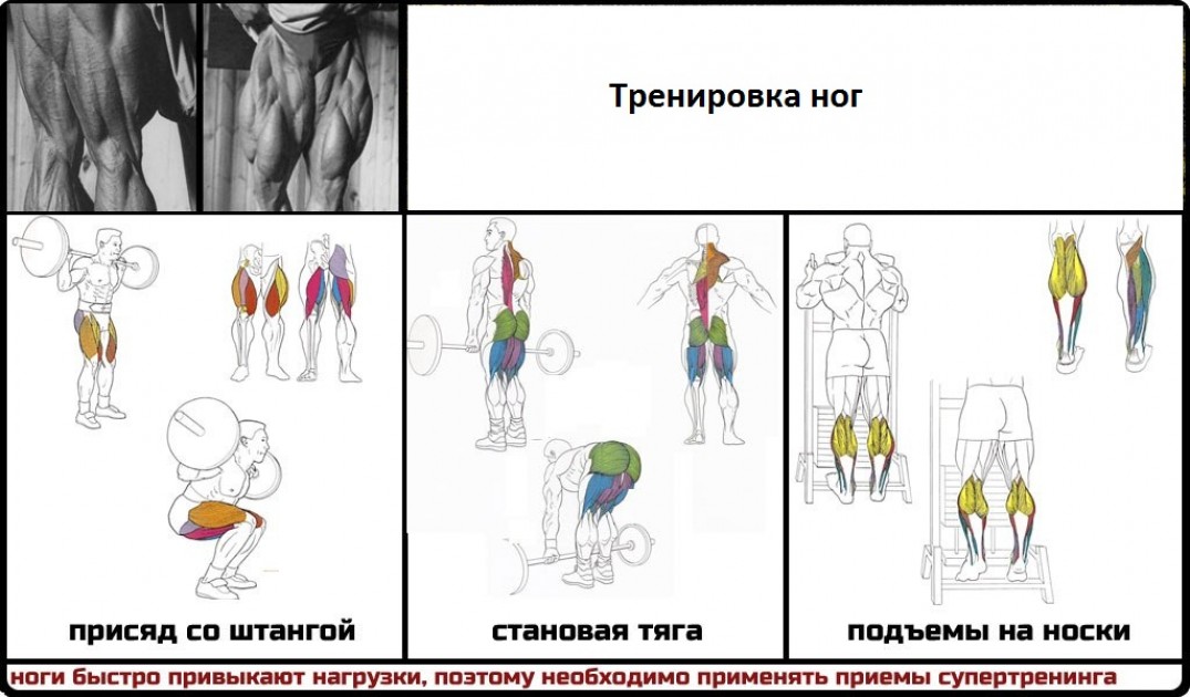 Первый раз в зале: ложные мифы