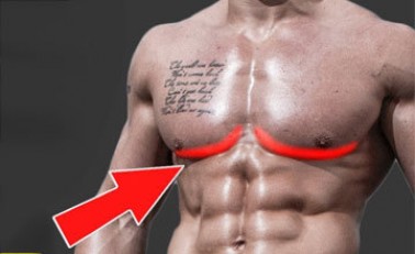 Как накачать нижнюю часть грудных мышц: упражнения для мужчин, чтобы прокачать низ груди