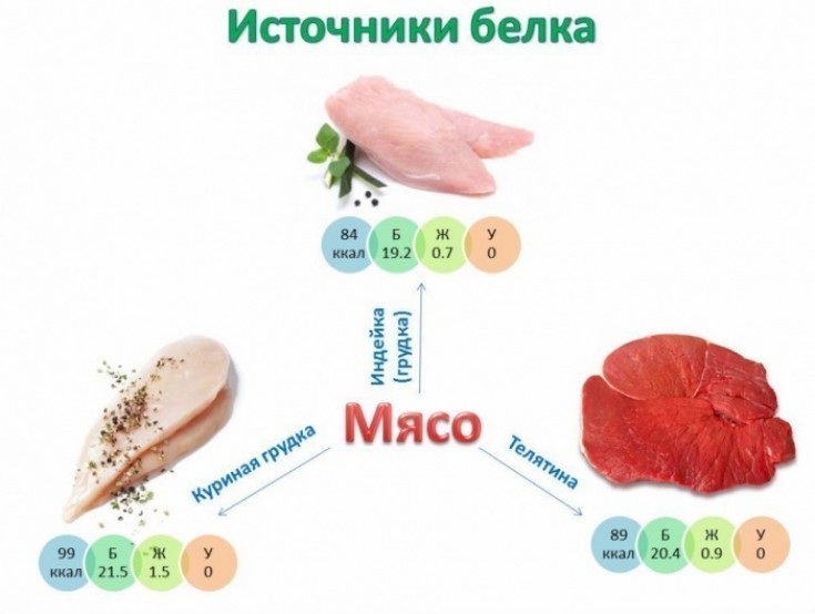 Натуральный протеин! Что же за «Зверь» такой — протеин?