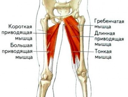 Комплекс для красивых ног