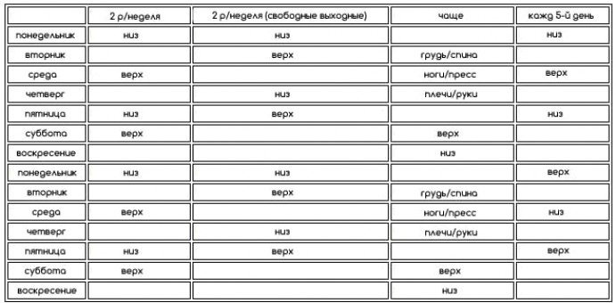 Каждая группа мышц — раза в неделю