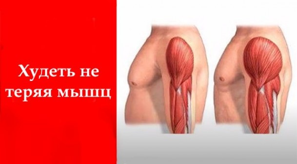 Как похудеть не теряя мышечной массы?