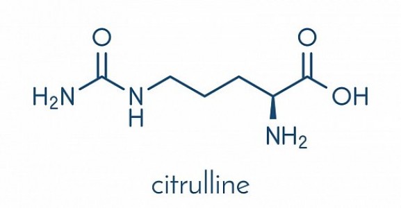 Польза цитруллина для организма