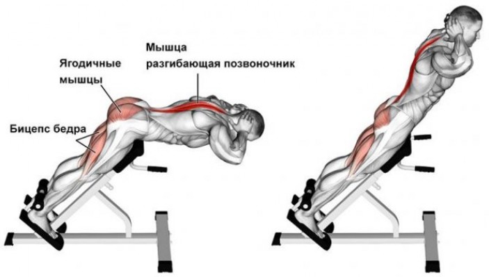 Как выполнять упражнения для разгибателей спины